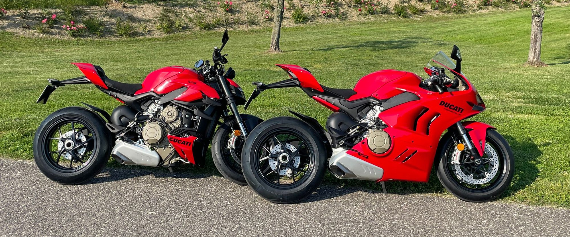 ducati ducati
